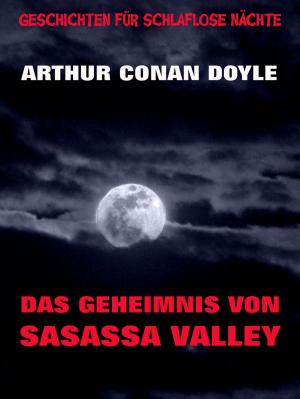 Cover of the book Das Geheimnis von Sasassa Valley by Theodor Fontane