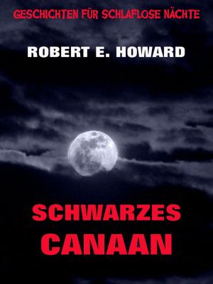 Cover of the book Schwarzes Canaan by Mary Baker Eddy