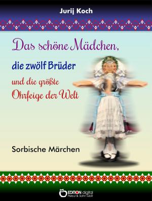 Cover of the book Das schöne Mädchen, die zwölf Brüder und die größte Ohrfeige der Welt by Dietmar Beetz