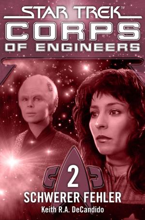 Cover of the book Star Trek - Corps of Engineers 02: Schwerer Fehler by Kirsten Beyer