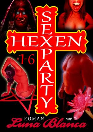 Cover of the book Hexen Sexparty 1-6 by Rhino Valentino