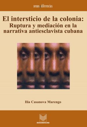 Cover of the book El intersticio de la colonia by Pedro Calderón de la Barca
