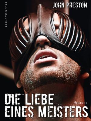 Book cover of Die Liebe eines Meisters (Klassiker der schwulen SM-Literatur)