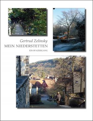 Cover of the book Mein Niederstetten by Lady Li Andre