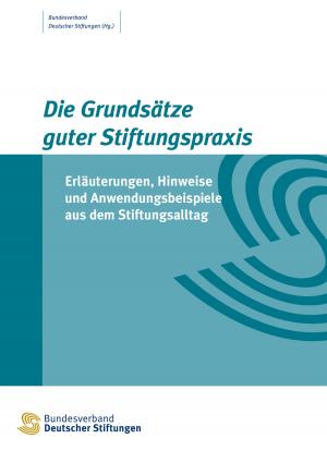 Cover of the book Die Grundsätze guter Stiftungspraxis by 