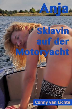 Cover of Anja - Sklavin auf der Motoryacht Teil 1