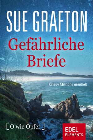 Cover of the book Gefährliche Briefe by Paul Kupperberg