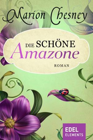 Cover of the book Die schöne Amazone by Wolfram Hänel