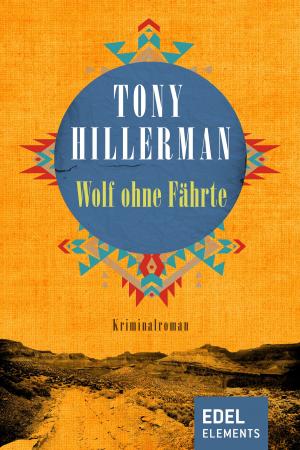 Cover of the book Wolf ohne Fährte by Frederick Glaysher
