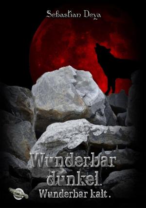 Cover of the book Wunderbar dunkel. Wunderbar kalt. by Shavi Blake