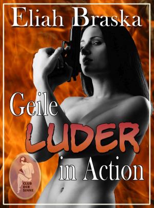 Book cover of Geile Luder in Action