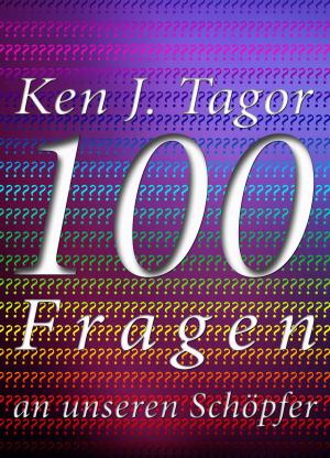 Book cover of 100 Fragen an unseren Schöpfer