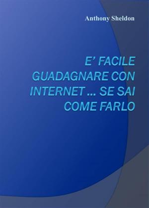 Cover of the book E’ facile guadagnare con internet … se sai come farlo by James O. Barnes