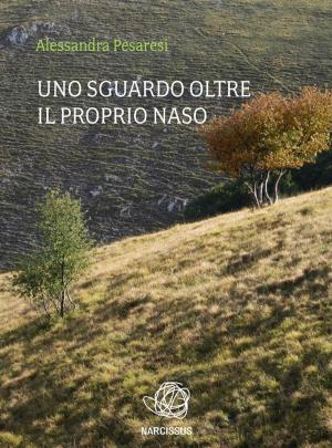 Cover of the book Uno sguardo oltre il proprio naso by MiMèz