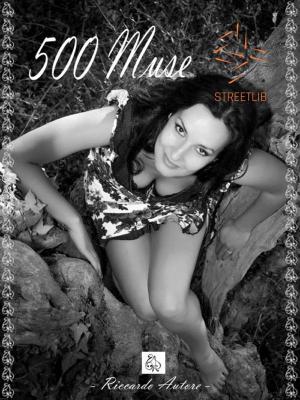 Cover of the book 500 Muse by Nick Andrew