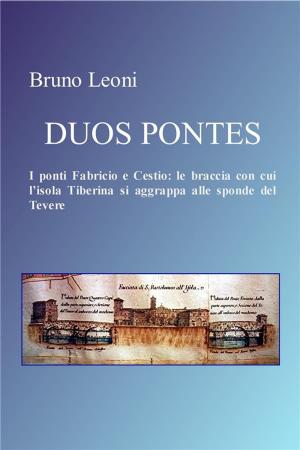 Cover of Duos Pontes