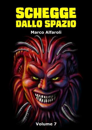 Cover of the book Schegge dallo spazio - volume 7 by Melisse Aires