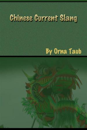 Cover of the book current chinese slang by orna taub