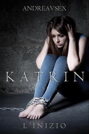 Cover of the book Katrin l'Inizio by Delaney Starr