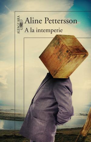 Cover of the book A la intemperie by Aline Pettersson