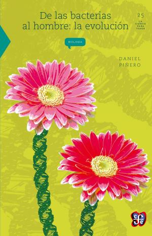 Cover of the book De las bacterias al hombre: la evolución by Vicente Leñero