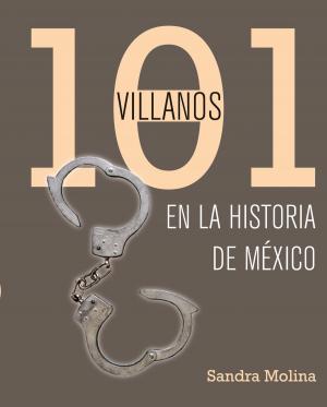 Cover of the book 101 villanos de la historia de México by Martha Figueroa