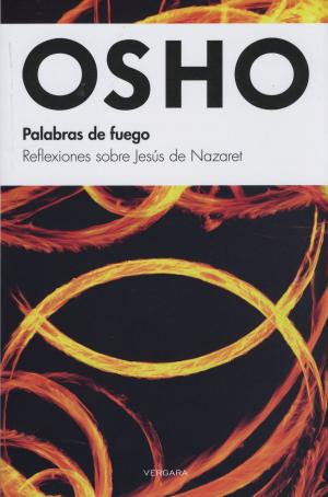 Cover of the book Palabras de fuego by Sofía Segovia