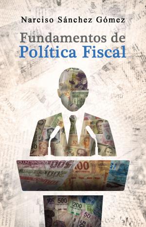 Cover of the book Fundamentos de política fiscal: Historia, doctrina y legislación by María de los Ángeles Olivera Belmar