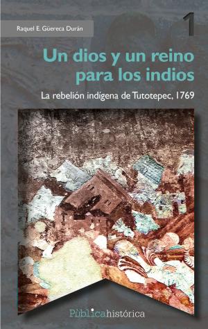Cover of the book Un dios y un reino para los indios by María de Alva