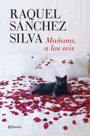 Cover of the book Mañana a las seis by Corín Tellado