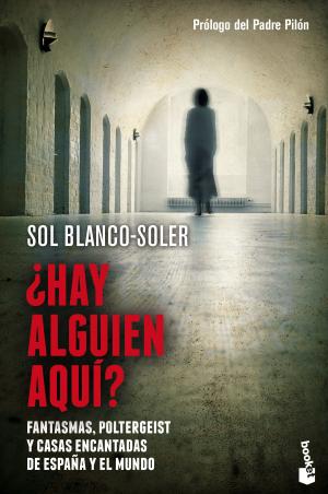 Cover of the book ¿Hay alguien aquí? by Christophe Brusset