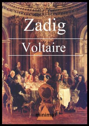 Cover of the book Zadig by Miguel De Cervantes