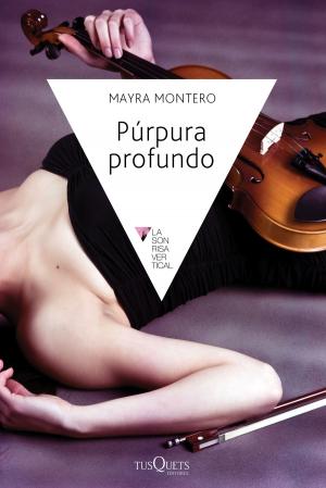 Cover of the book Púrpura profundo by Luz Guillén