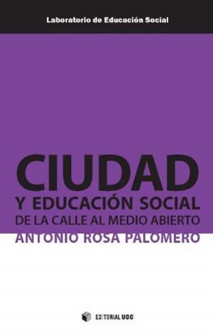 Cover of the book Ciudad y educación social by Jordi Sánchez Navarro, Lola Lapaz Castillo