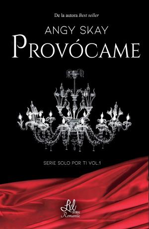 Cover of the book Provócame by Angy Skay