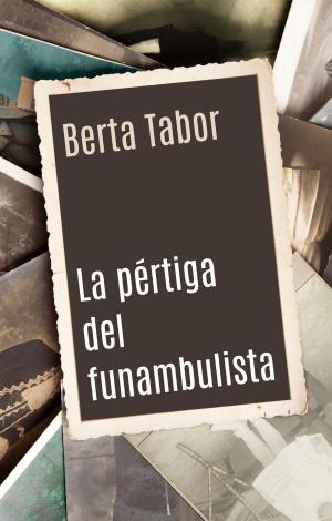 Cover of the book La pértiga del funambulista by Edward Rutherfurd