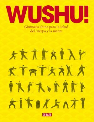 Cover of the book Wushu! by Bridget Asher