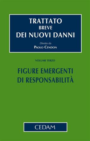 Book cover of Trattato breve dei nuovi danni - Vol. III: Figure emergenti di responsabilità