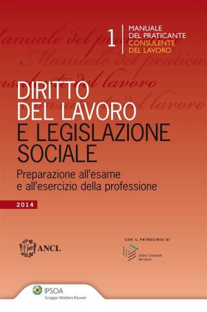 Cover of the book Manuale del praticante Consulente del lavoro - Diritto del Lavoro e Legislazione sociale by TANER PERMAN