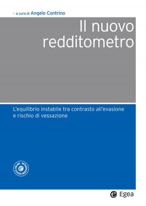 Cover of the book Il nuovo redditometro by Luana Carcano, Carlo Ceppi