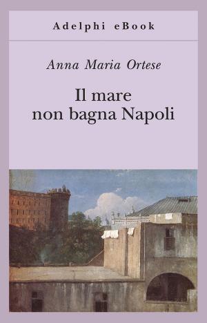 Cover of the book Il mare non bagna Napoli by Paolo Zellini