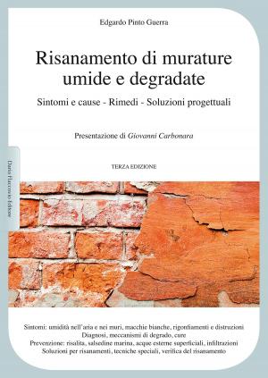 Cover of the book Risanamento di murature umide e degradate by Riccardo Pazzaglia