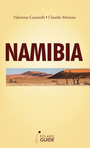 Book cover of Namibia