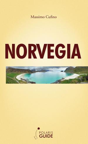 Cover of the book Norvegia by Pierluca Rossi, Enrica Rabacchi