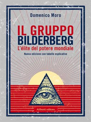 Cover of Il gruppo Bilderberg