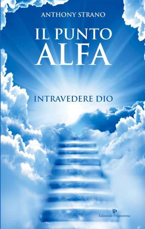 Cover of the book Il punto Alfa by Alberto Fiorito