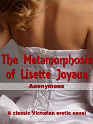 Book cover of The Metamorphosis of Lisette Joyaux