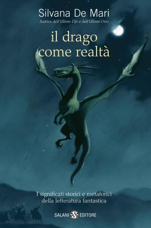 Book cover of Il drago come realtà