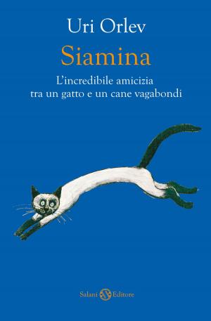 Cover of the book Siamina by Adam Blade