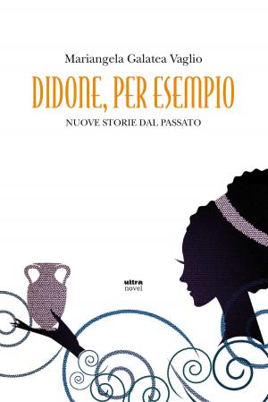 Cover of the book Didone, per esempio by Juan Bas